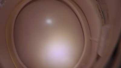 Being Swiss Nina's Toilet #2