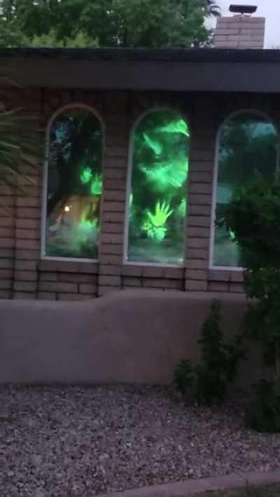 Ограда кладбища?