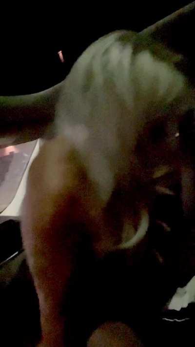 My wife and I were visiting Dallas for the weekend. We went to a bar for live music and dancing. A guy came over to talk to us and we all had a few drinks. They went to dance and about 15-20 minutes later I got this video from her…