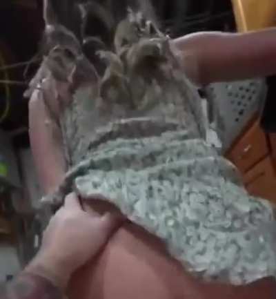 love a good sundress