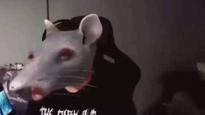 ESTILOZAP - Video #8458