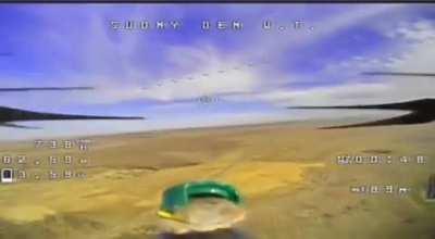 3000 kamikaze mice of Russia