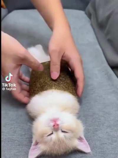 He will be dipped to soy sauce