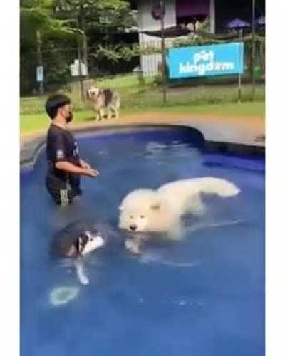 Excuse me…coming through…oops my bad