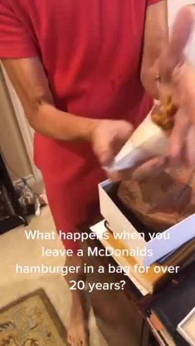 Woman shows off McDonald's hamburger and fries that she kept in her closet for 24 YEARS, revealing they have 'never 'rotted or decayed' or even grown mold!