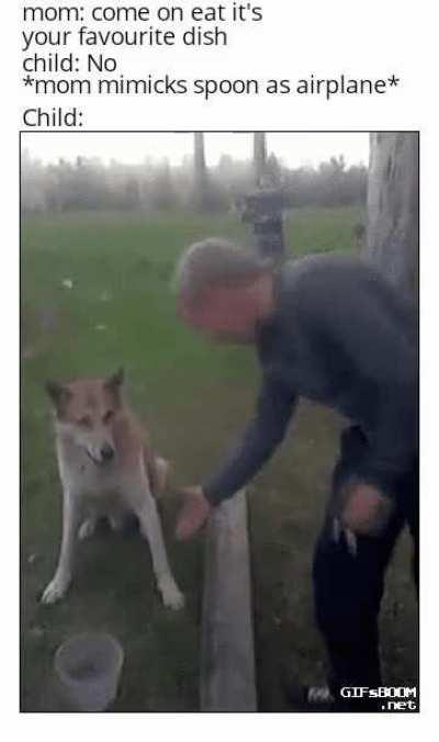 Memories of the past