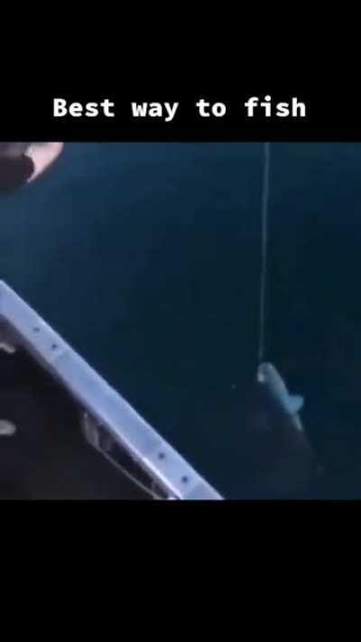 Best way to fish