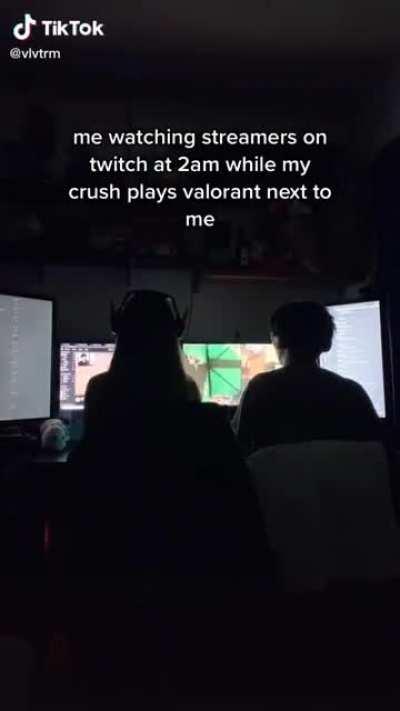 rare video of a girl watching sykkuno stream (this made me lonely fr)