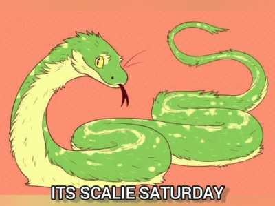 Scalies_irl