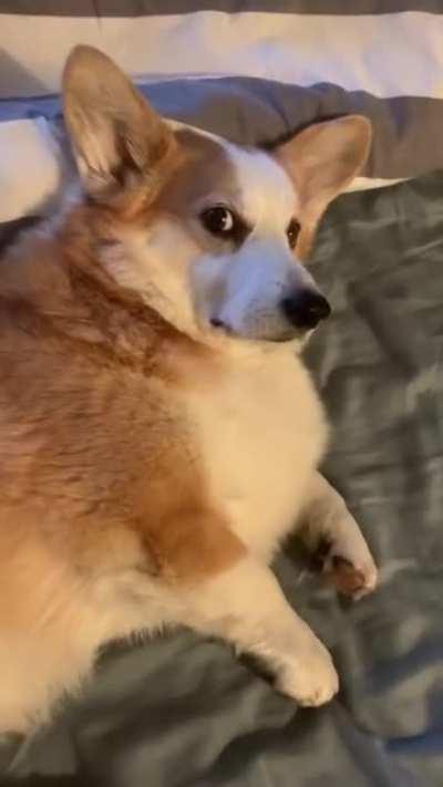 What You Talkin Bout Willis?