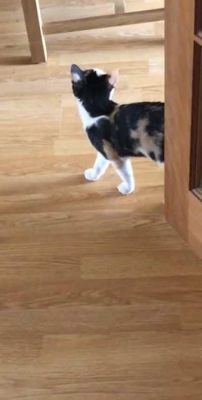 Man viscously mauled by big cat