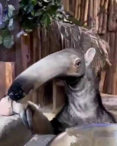 Wunk is all tongue for yummy sludge