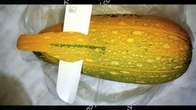 Кому отдать кобачки? Изяцепт! Видео от Изи