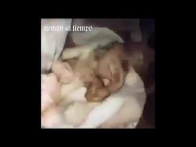 Scientist Stumped After Baby Is Born With A Paw!