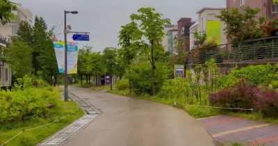 early morning rain in seoul