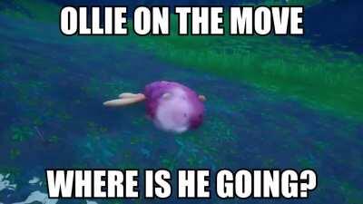 He do be bouncing doe