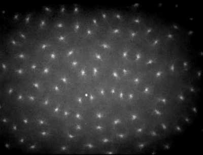 the mitotic spindle in action | video from Archambault et al. (2007). PLOS Genetics