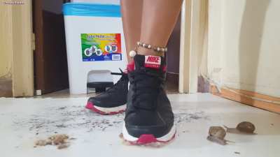 Cinnamon vs crunchy Grashoppers