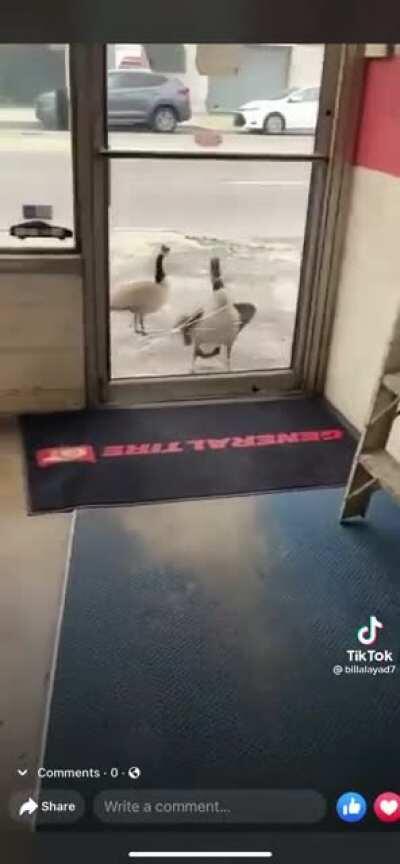 He says “let me in”