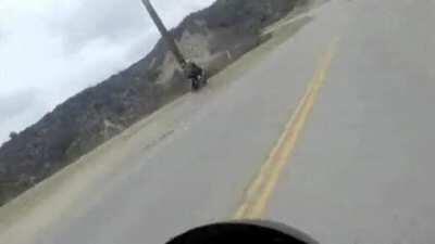 It’s a bird, it’s a plane, no, it’s... an idiot