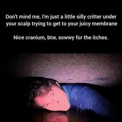 I made my way up to your spinal column, almost to the brain ð