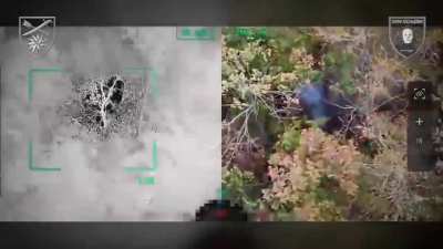 Drone drops and FPV drones of the 2nd Mechanized Battalion "Onuky Adolfivny" of the 66th Separate Mechanized Brigade eliminate Russian infantry, Lyman direction, 22.10.25.