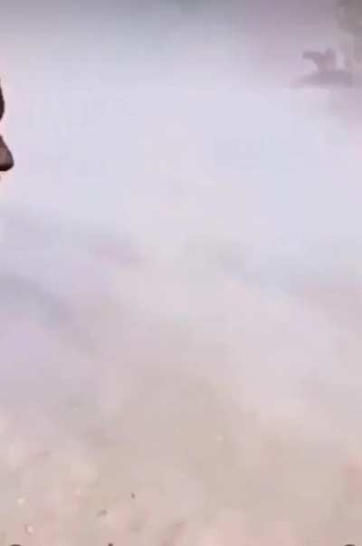 Chadian army engaging a rebel group in 2021. Fighting in the desert is on a whole different level, it presents unique challenges, with little to no cover available. This video demonstrates how small trees serve as minimal cover in such an environment.