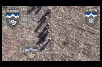 10th Mountain Brigade drone drops grenade on russian soldiers evacuating a wounded comrade.