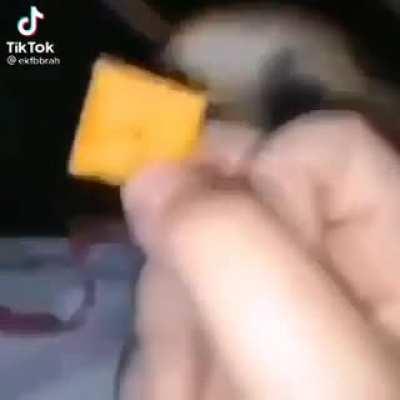 cheezit fight