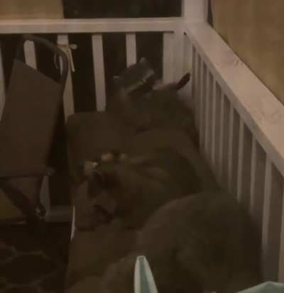 There’s always one kid who doesn’t want to nap