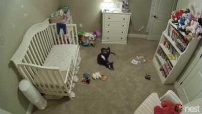 Pupper was banned from babys room, sneakiness ensues