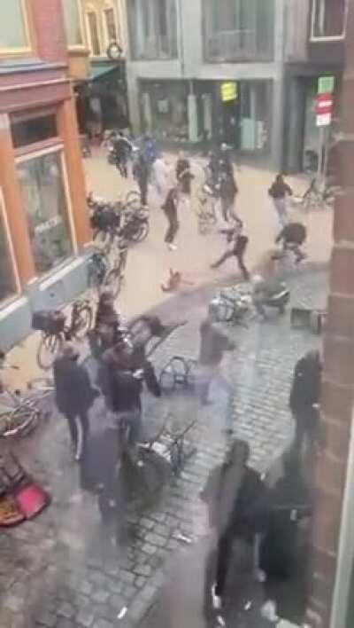 Imagine you're at home and this happens outside your window