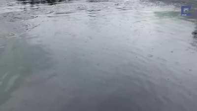 The water at this harbor is so deep that even a humpback whale can breach out of it without being noticed beforehand.