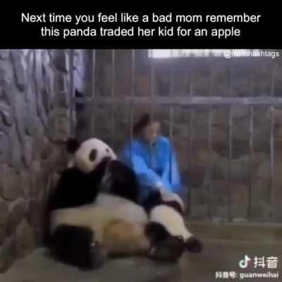 Panda mom trades baby for an apple