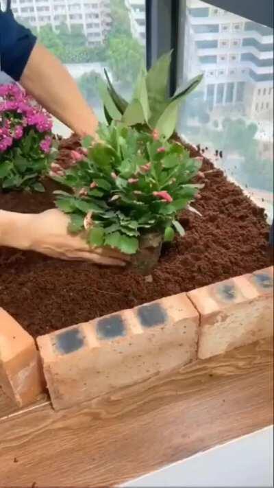 Feel like your new luxury apartment is just missing that special something? DIRT FLOOR!