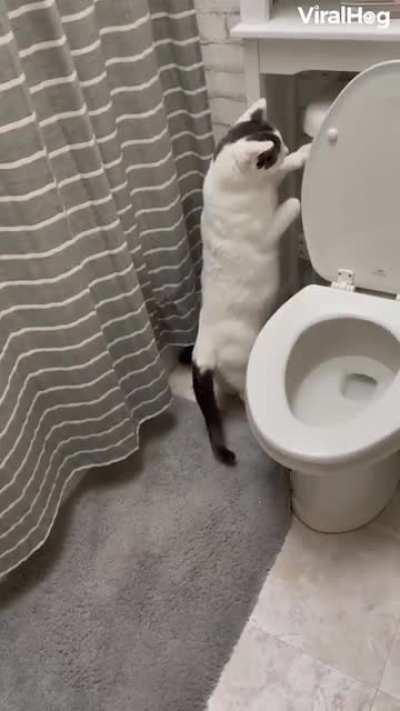 The reason why water bill increased. 😁😁😁