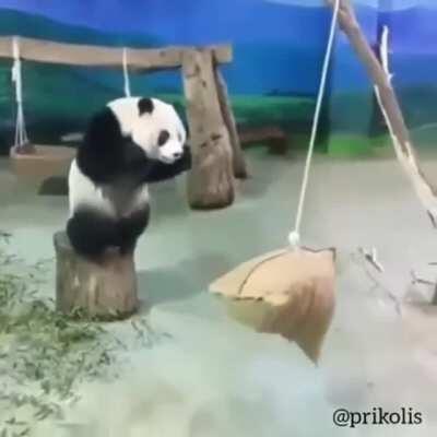 Me failing at moving platforms when I play Super Mario