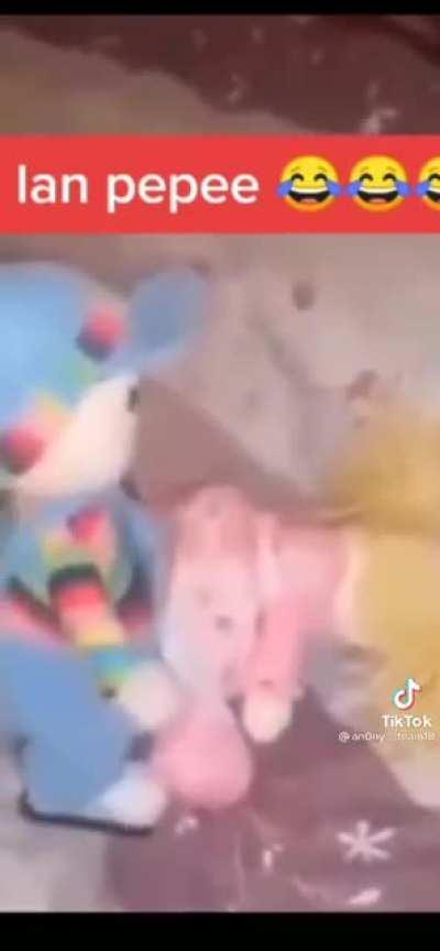 Beyler sanırım pepe büyümüş