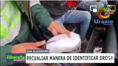 Positivo para alcaloide cocaina KEKW