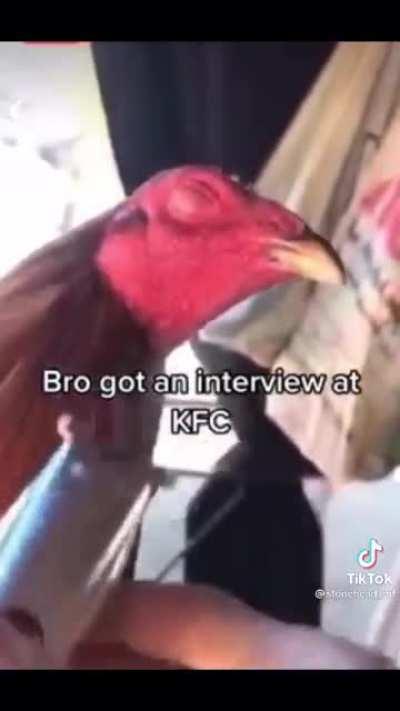 Hope he'll get a job