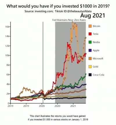 What if you invested 1000 dollarss in various stocks in 2019