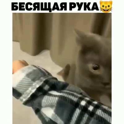 Это рука, у кого надо рука