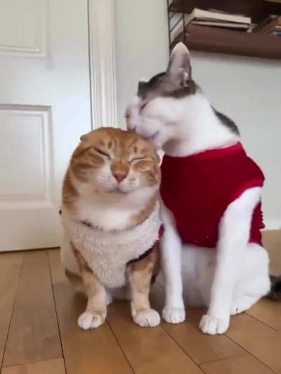 Single brain cell working hard