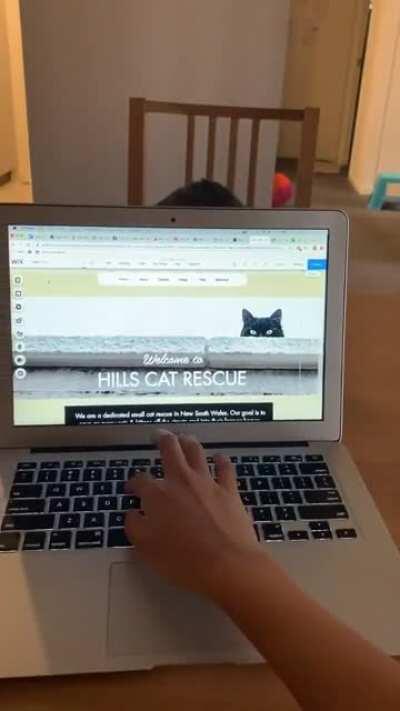 This was exactly a year ago. Time flies!