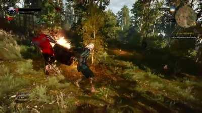 Sickest finisher in the Witcher 3