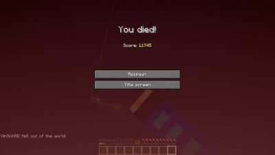 Allways make sure you have your elytra on..