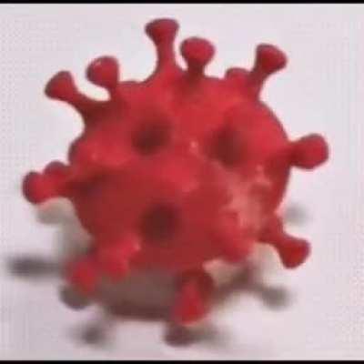 bajojajobajojajobajojajobajojajo