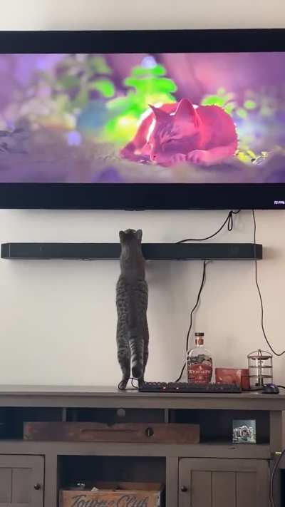 Well that's a first...