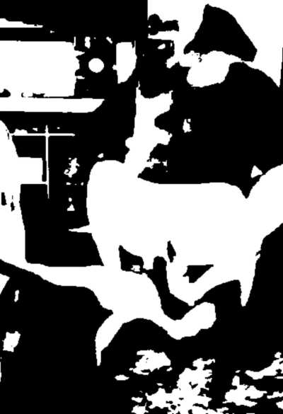 What do you see on my Rorschach test? 