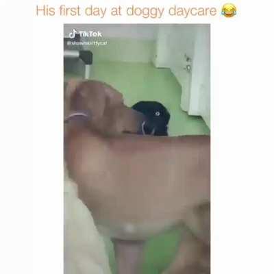 I thought this might fit here